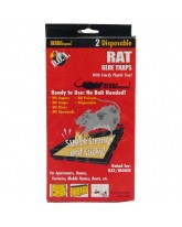 RAT GLUE TRAP - 2 CT.