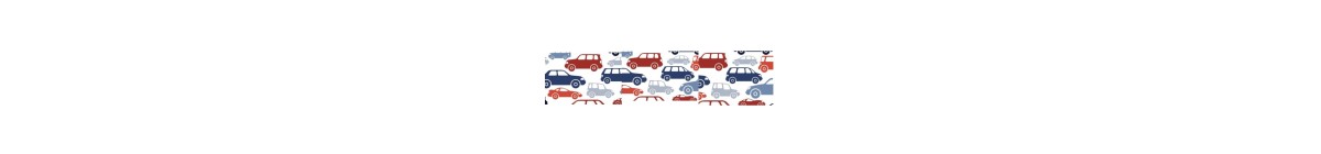AUTOMOTIVE / CAR