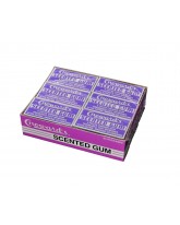 C HOWARD'S SCENTED GUM - 24 CT.