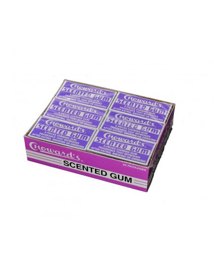 C HOWARD'S SCENTED GUM - 24 CT.