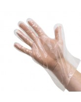 GLOVES  10 - 100 CT.