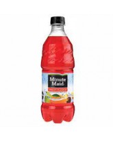 MINUTE MAID FRUIT PUNCH 20 OZ. - 24 CT.
