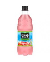 MINUTE MAID WATERMELON PUNCH 20 OZ. - 24 CT.
