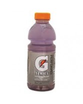 GATORADE REPTIDE RUSH 20 OZ.  - 24 CT.