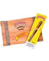 BACKWOODS BANANA SINGLE - 40 CT.