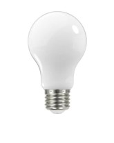 LIGHT BULB 100 WATT - 1 CASE